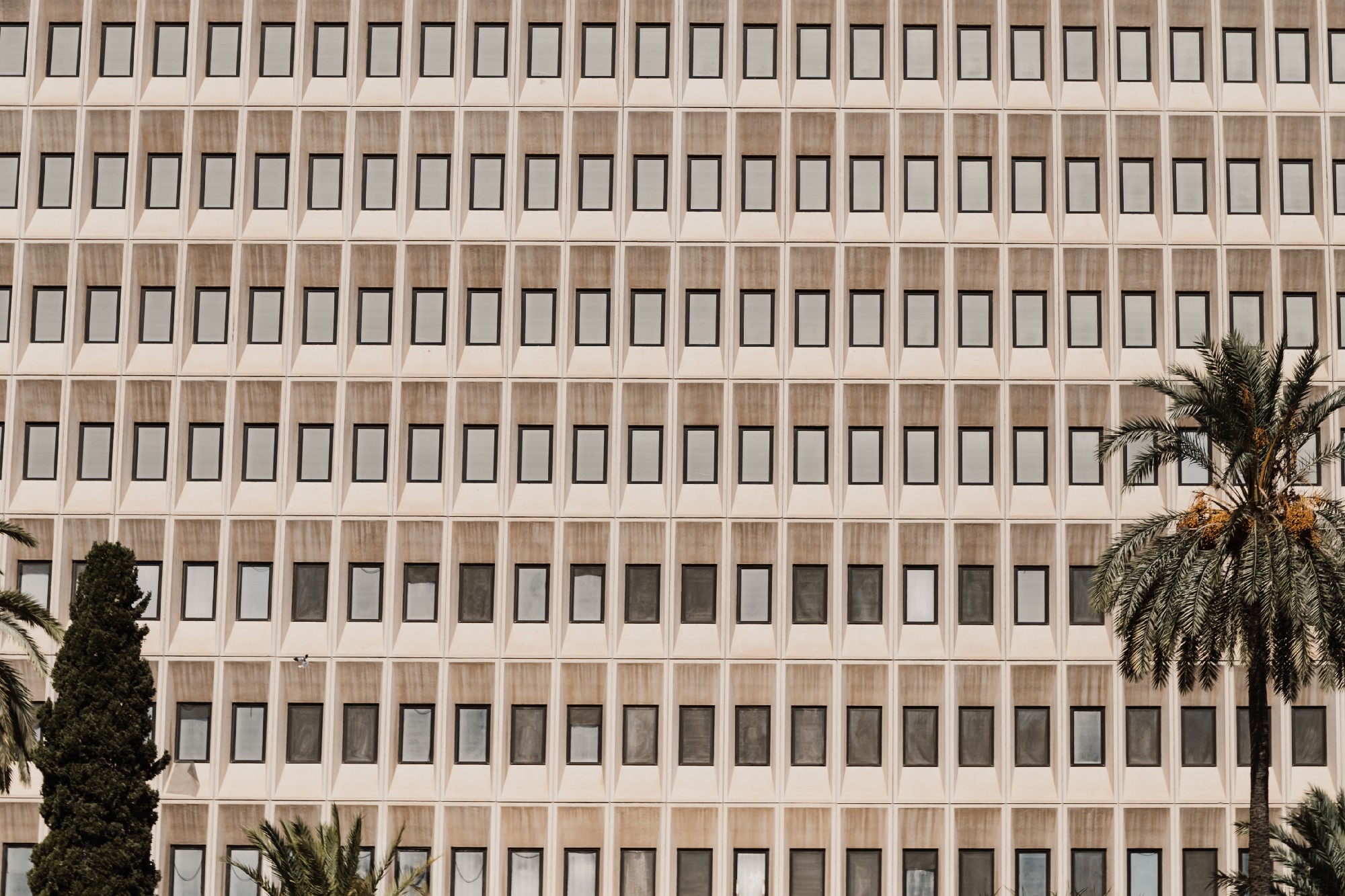 Abogado Derecho Administrativo En Badajoz